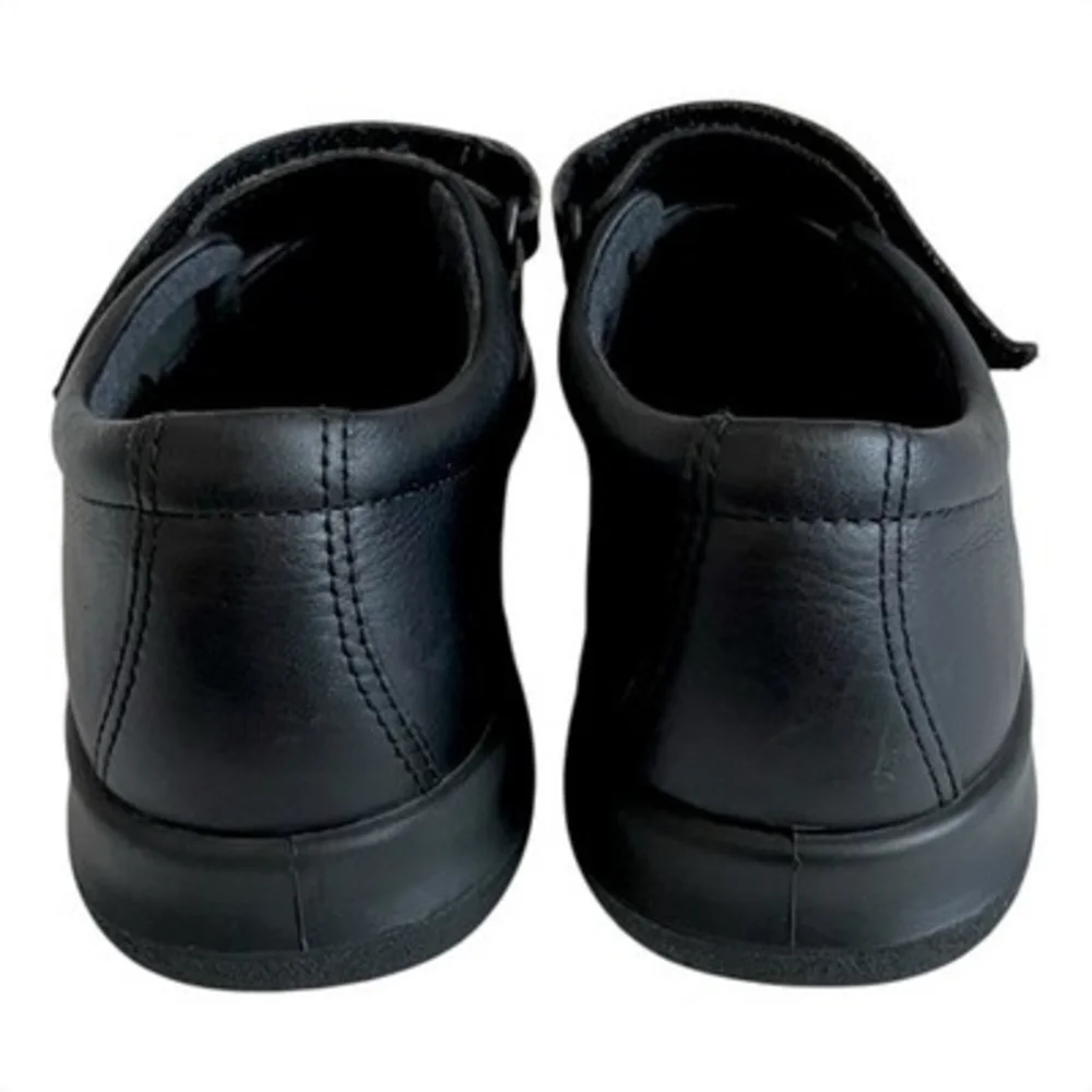 ECCO biom life